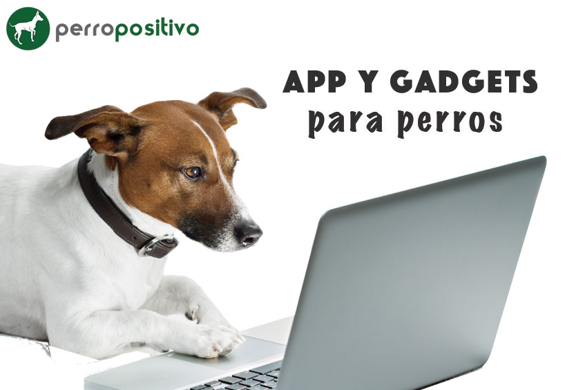 App-y-gadgets-para-perros