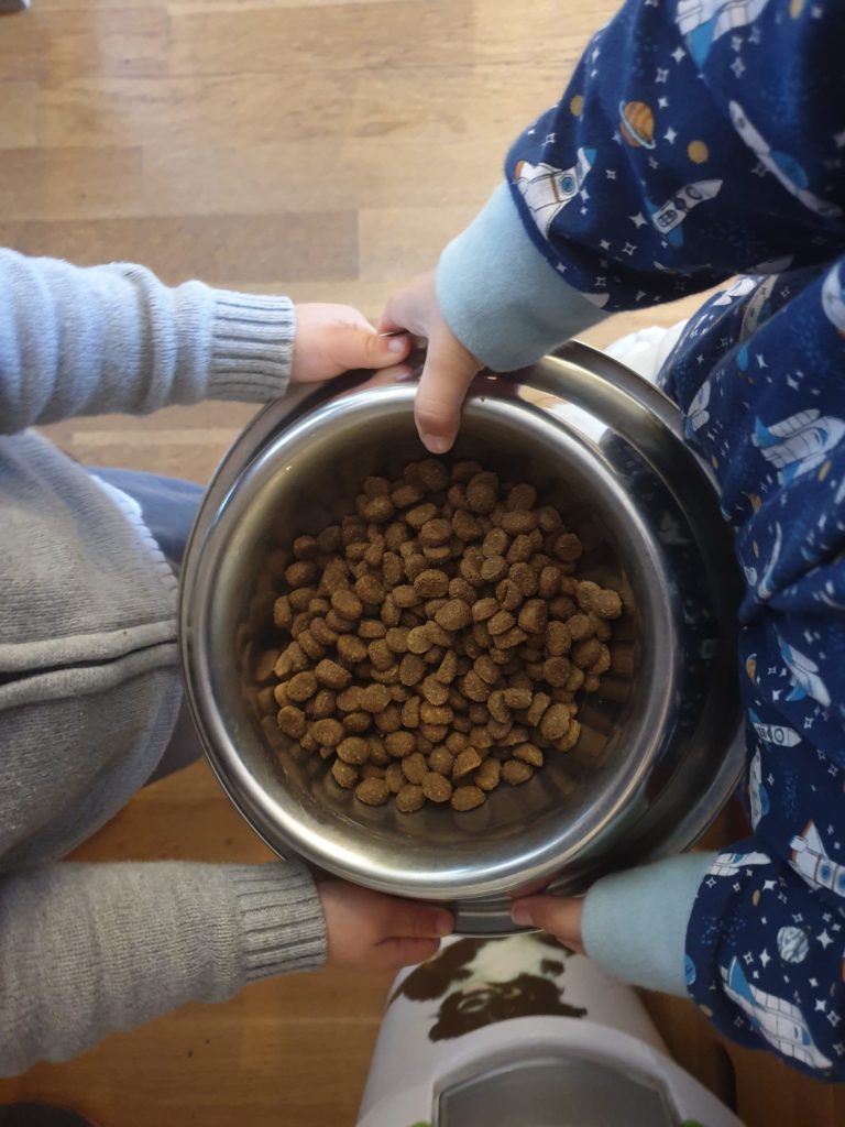 niños preparando la comida para el perro
